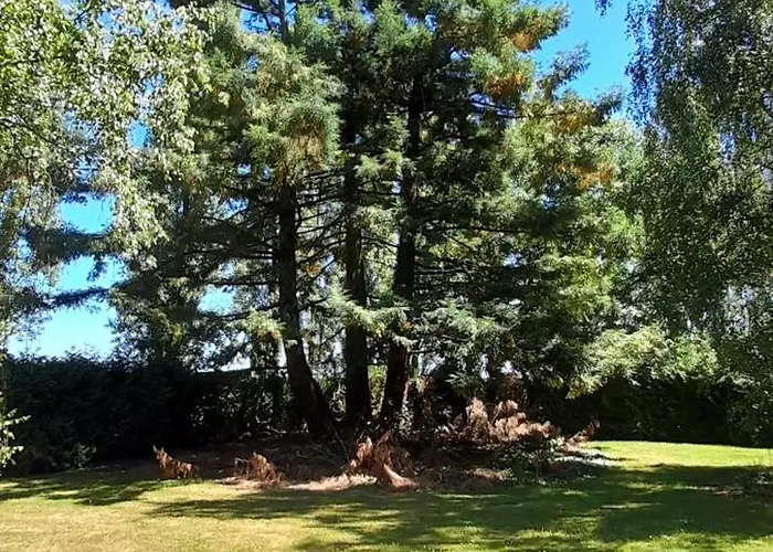 Domaine De Vaufleury - La Maison De L'escuiller Gasthof Bourg-Philippe